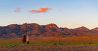 Flinders Ranges Photography Tour - We Wander
