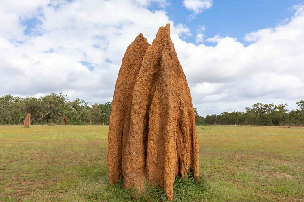Private 1 Day Chillagoe Caves Tour - We Wander