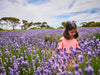 Private Coach - A Taste Of Kangaroo Island 24 Seater - We Wander